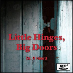 Little_Hinges_Big_Doors