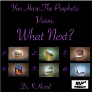 You_Have_The_Prophetic_Vision_What_Next