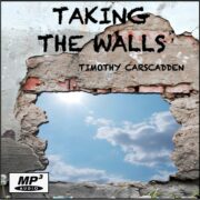 Taking_The_Walls