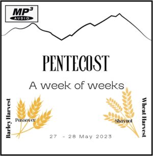 2023_Pentecost_A_Week_Of_Weeks