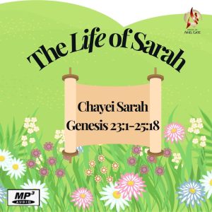 2024-11-24 Chayei Sarah - The Life of Sarah