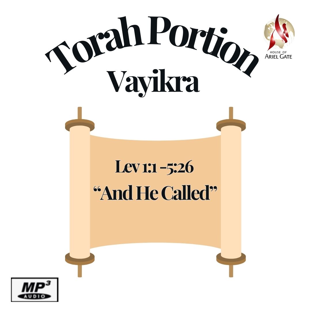 2025-04-06 Torah Portion - Vayikra "And He Called"