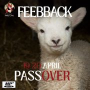 2025-04-23 Passover Feedback