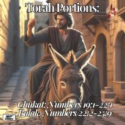 2025-07-13 Chukat & Balak Torah Portion