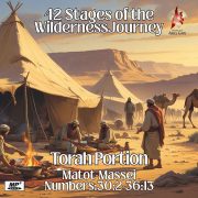 2025-07-27 Torah Portion: Matot Massei