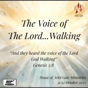 The Voice of The Lord Walking