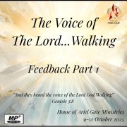 2025-10-15 Convention Feedback Part 1