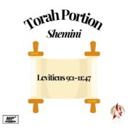 2026-04-12 Torah Portion: Shemini