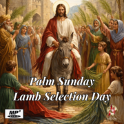 2026-03-29 Palm Sunday