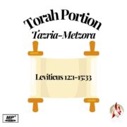 2026-04-19 Torah Portion: Tazria Metzora